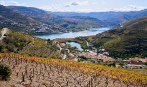 village, vineyards, Covelinas, Douro Valley, Portugal village, vineyards, Covelinas, Douro Valley, Portugal